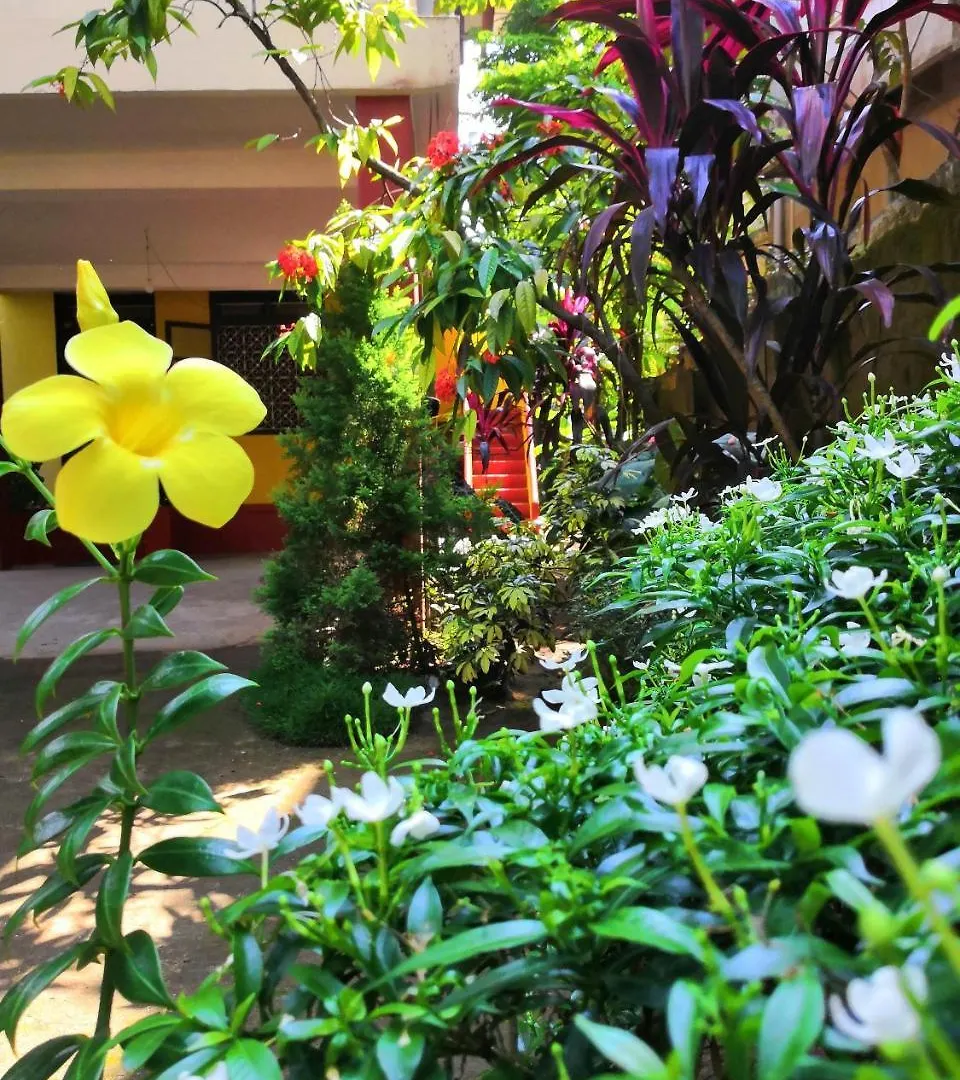 David Homes Kochi
