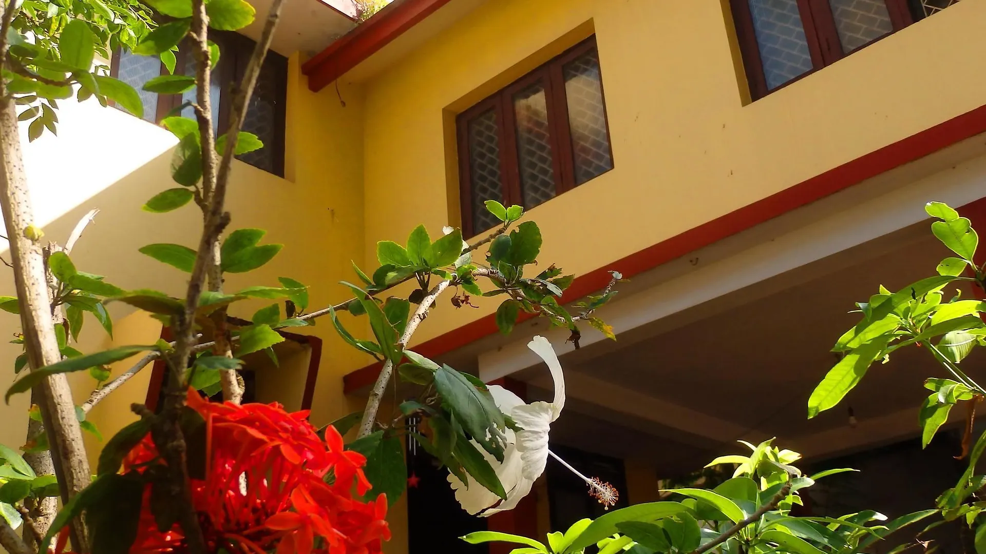 David Homes Kochi インド